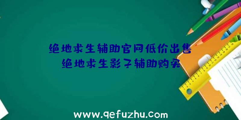 「绝地求生辅助官网低价出售」|绝地求生影子辅助购买